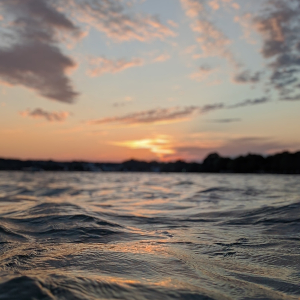 Meet your Posher, Cole